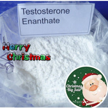 Prasterone Enanthate Hormon Test Enanthate für Muskelwachstum